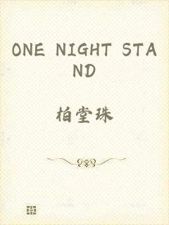 ONE NIGHT STAND